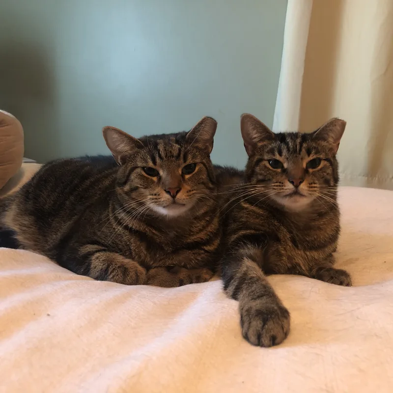 Sam & Rosie thumbnail 4