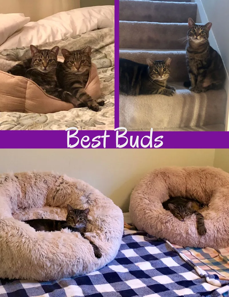 Sam & Rosie thumbnail 5