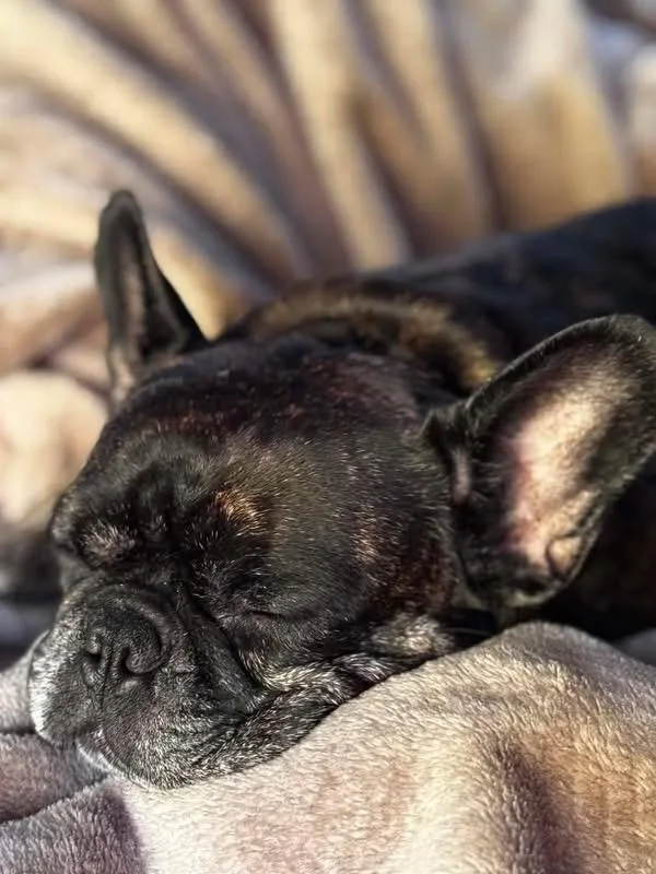 Maggie