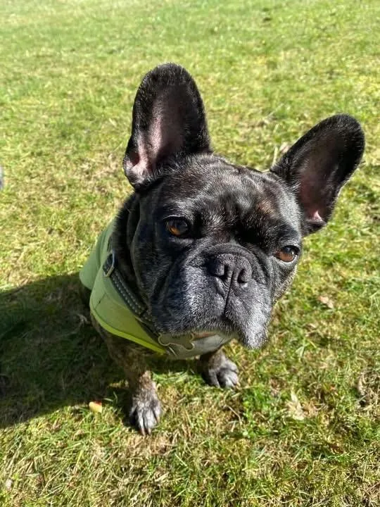 Maggie thumbnail 3