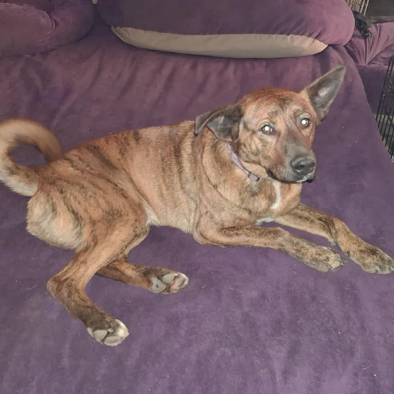 Gabrielle thumbnail 2