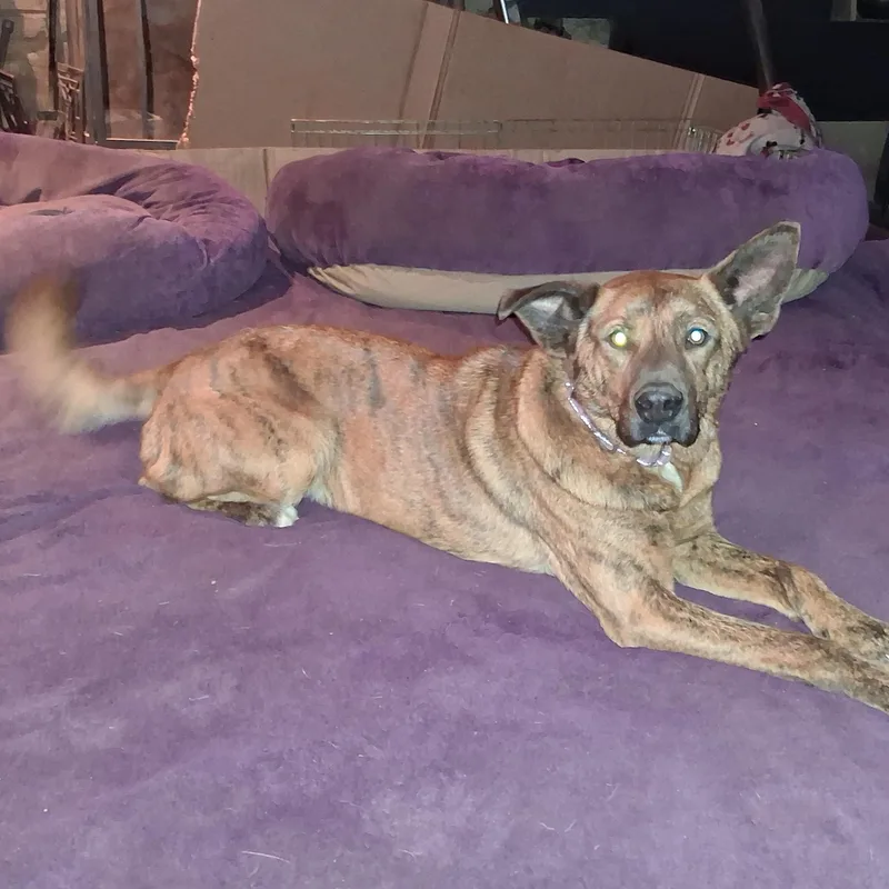 Gabrielle thumbnail 3