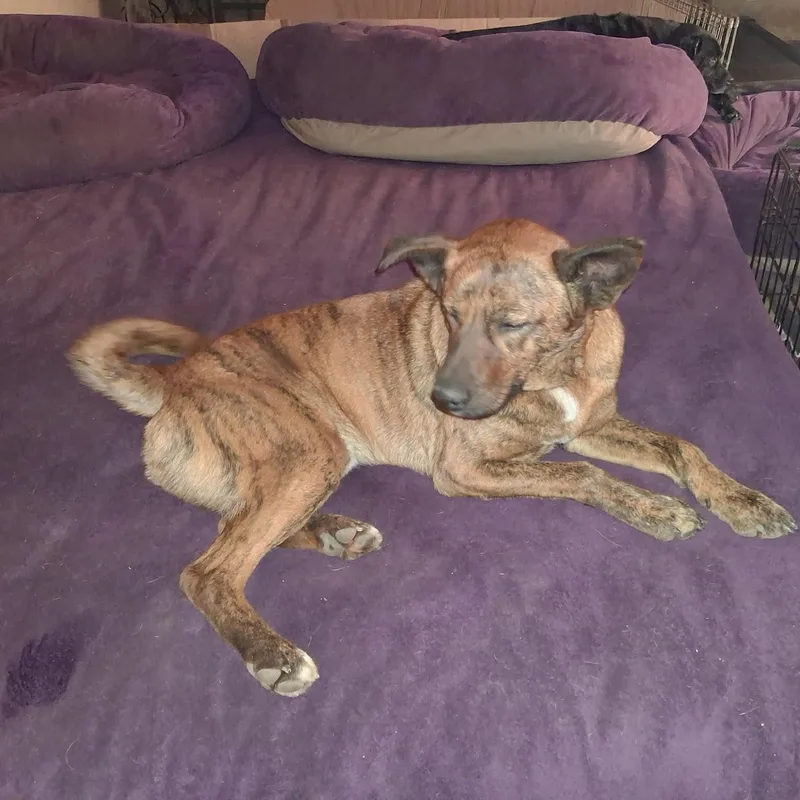 Gabrielle thumbnail 4