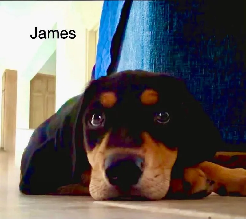James thumbnail 2