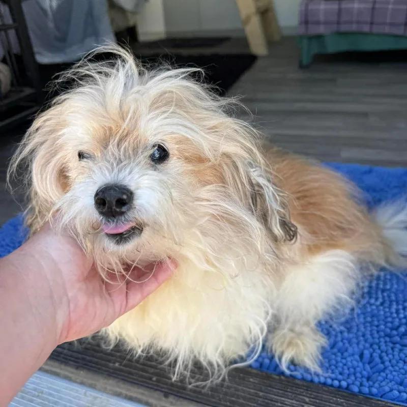 Baxter thumbnail 5