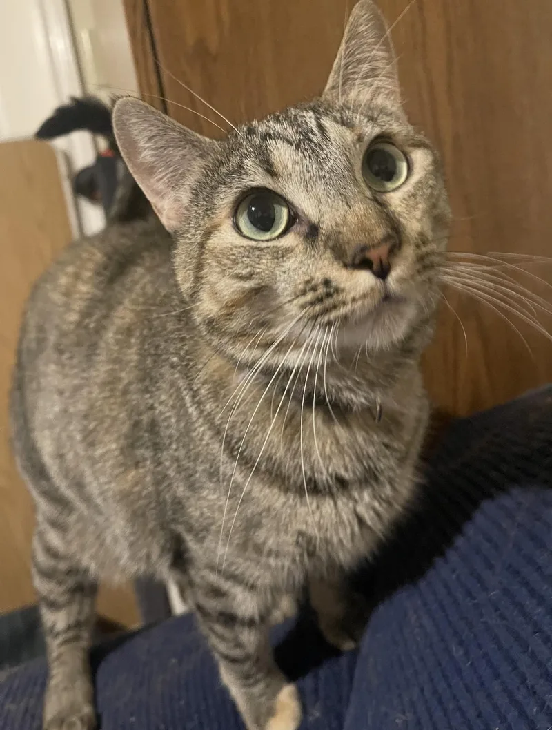 Grace & Luke thumbnail 5