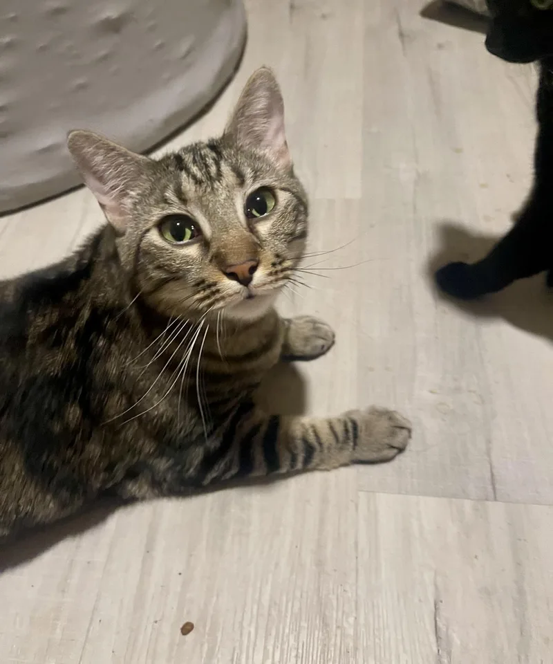 Grace & Luke thumbnail 6