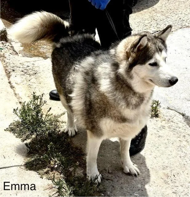 Emma