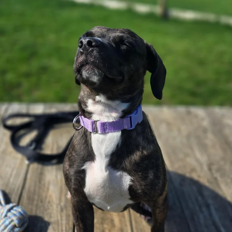 Princess thumbnail 2