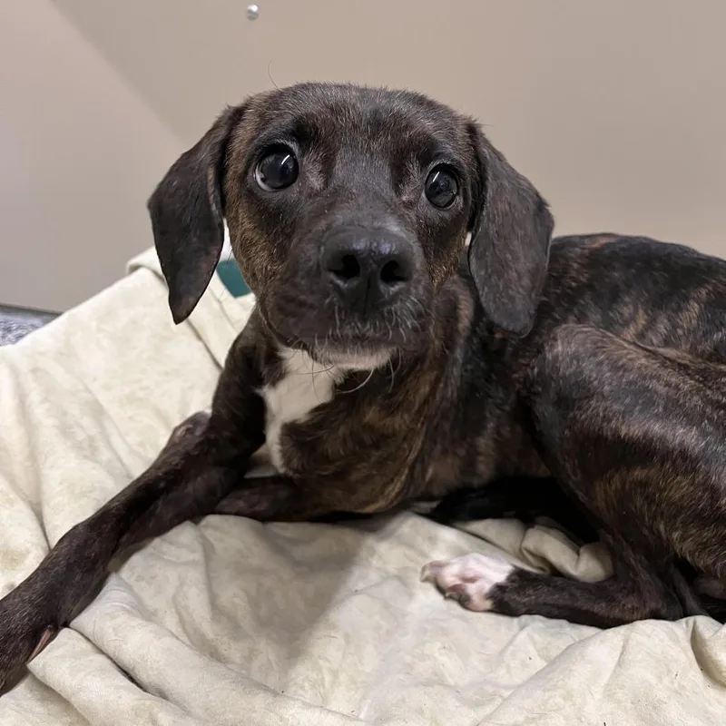 Princess thumbnail 6