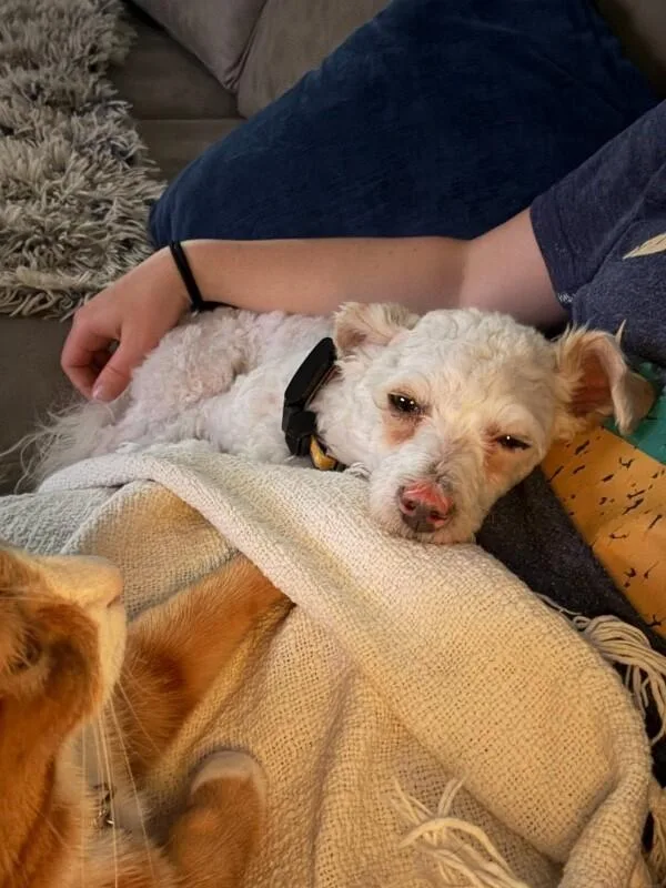 Napoleon Dynamite thumbnail 5