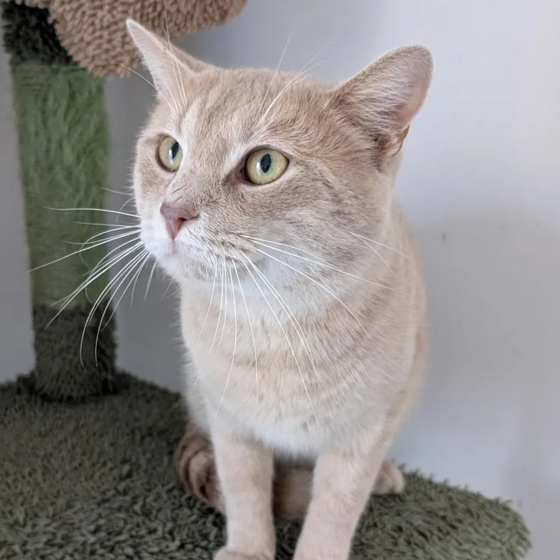 Harris  Fiv Positive thumbnail 2