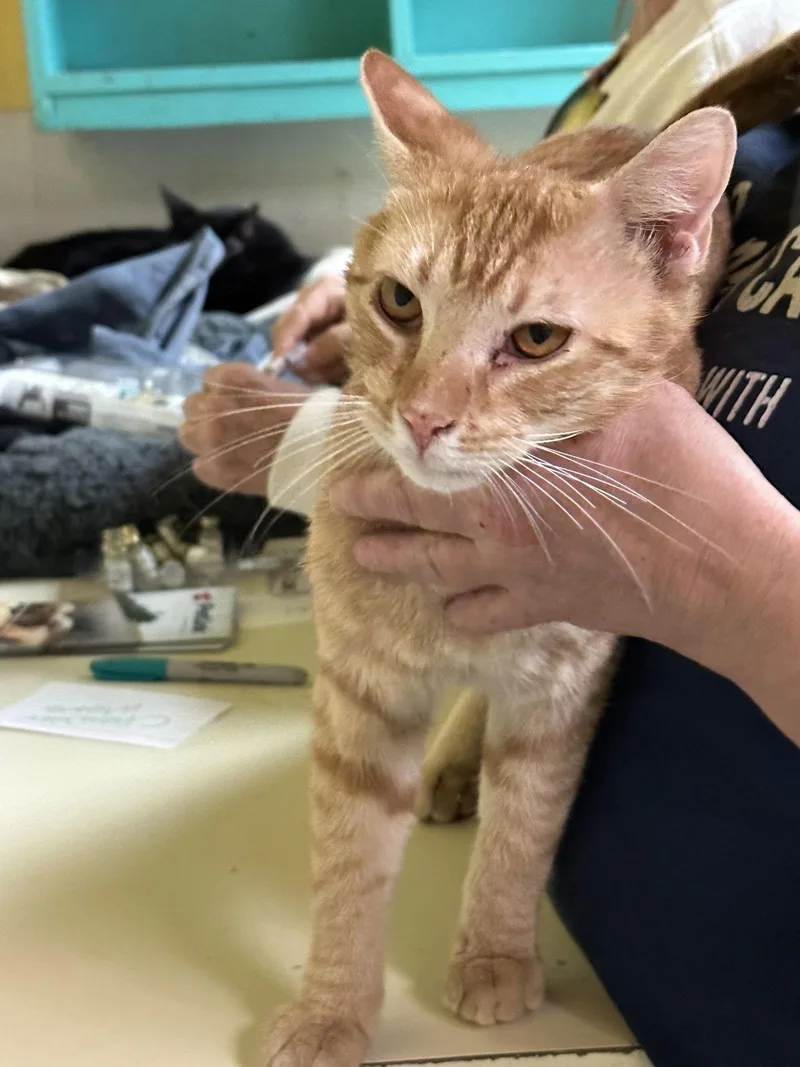 Jake Wyndham thumbnail 2