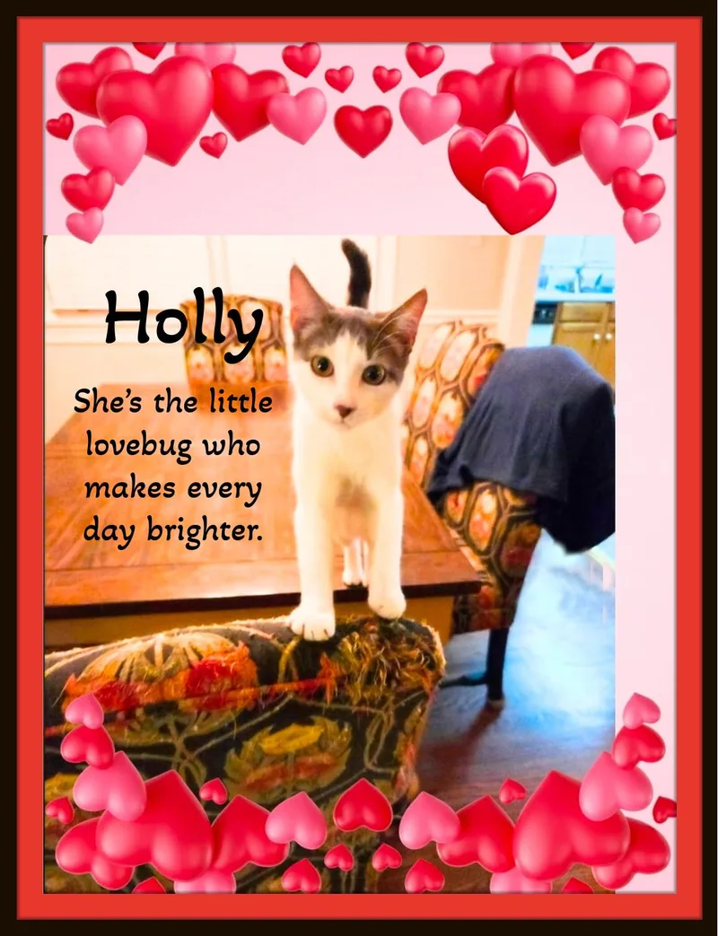 Holly — Gentle  thumbnail 2