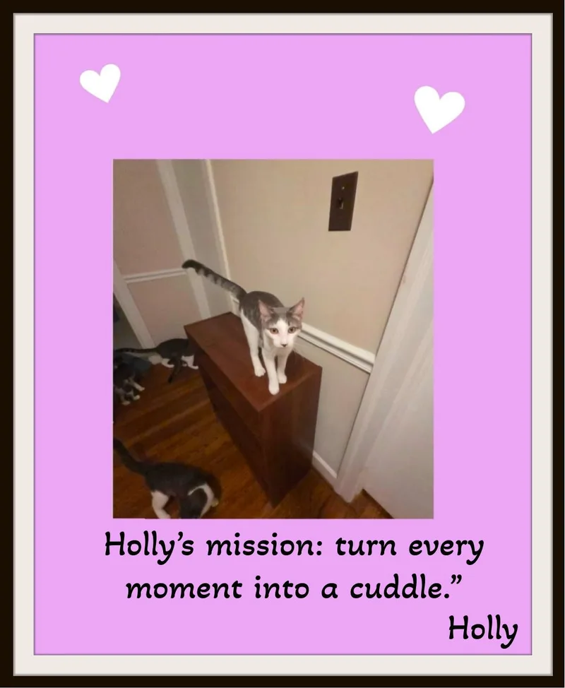 Holly — Gentle  thumbnail 3