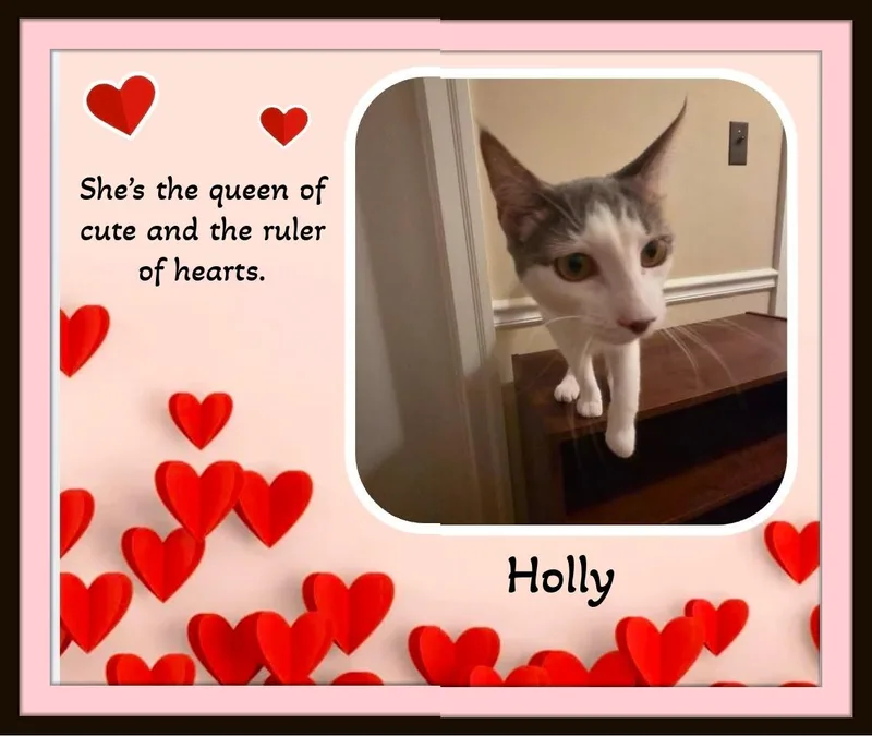 Holly — Gentle  thumbnail 4