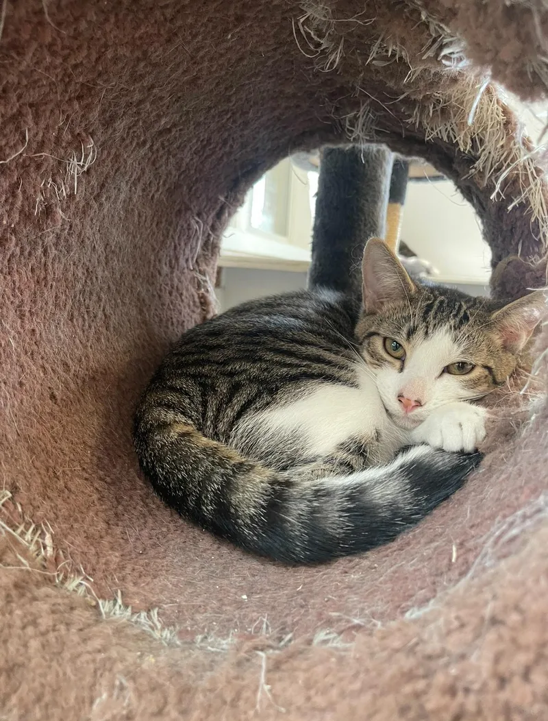 Serenity thumbnail 2