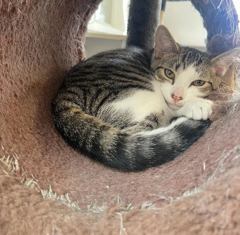 Serenity thumbnail 3