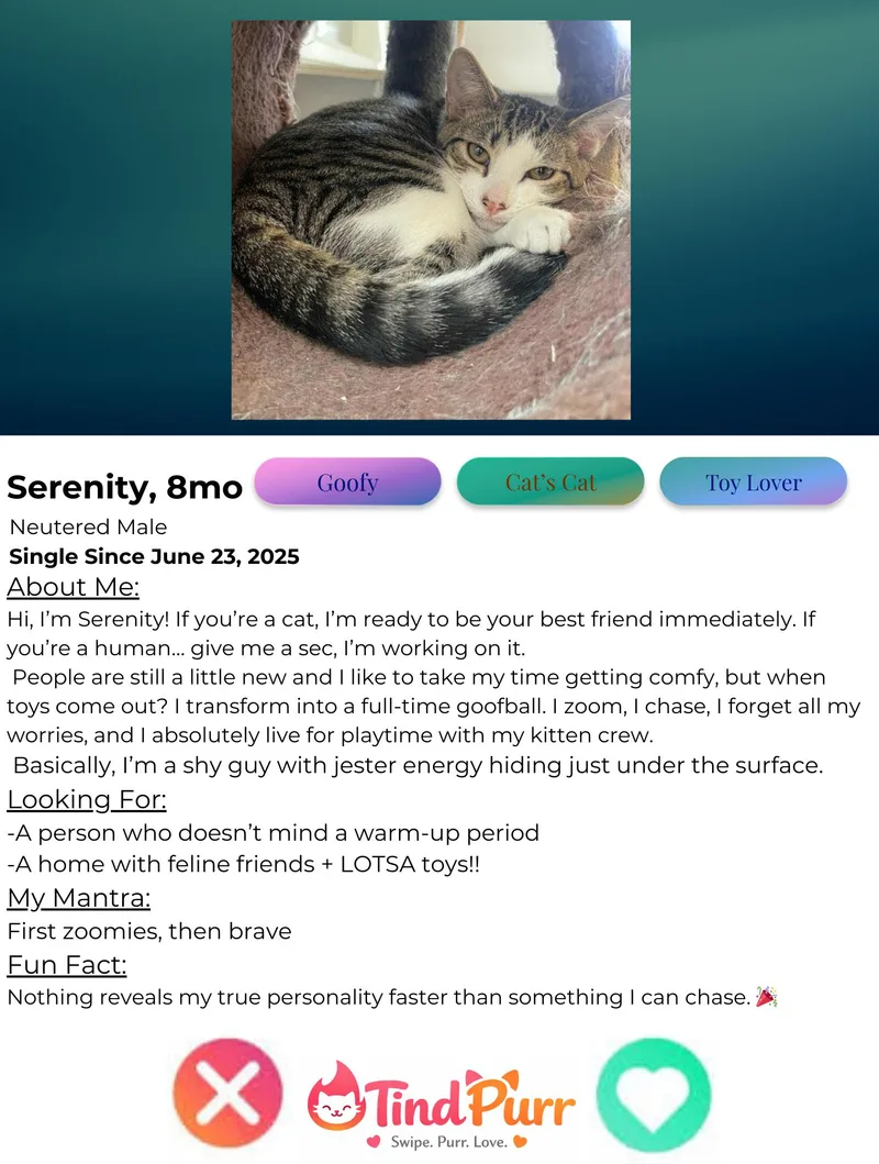 Serenity thumbnail 4