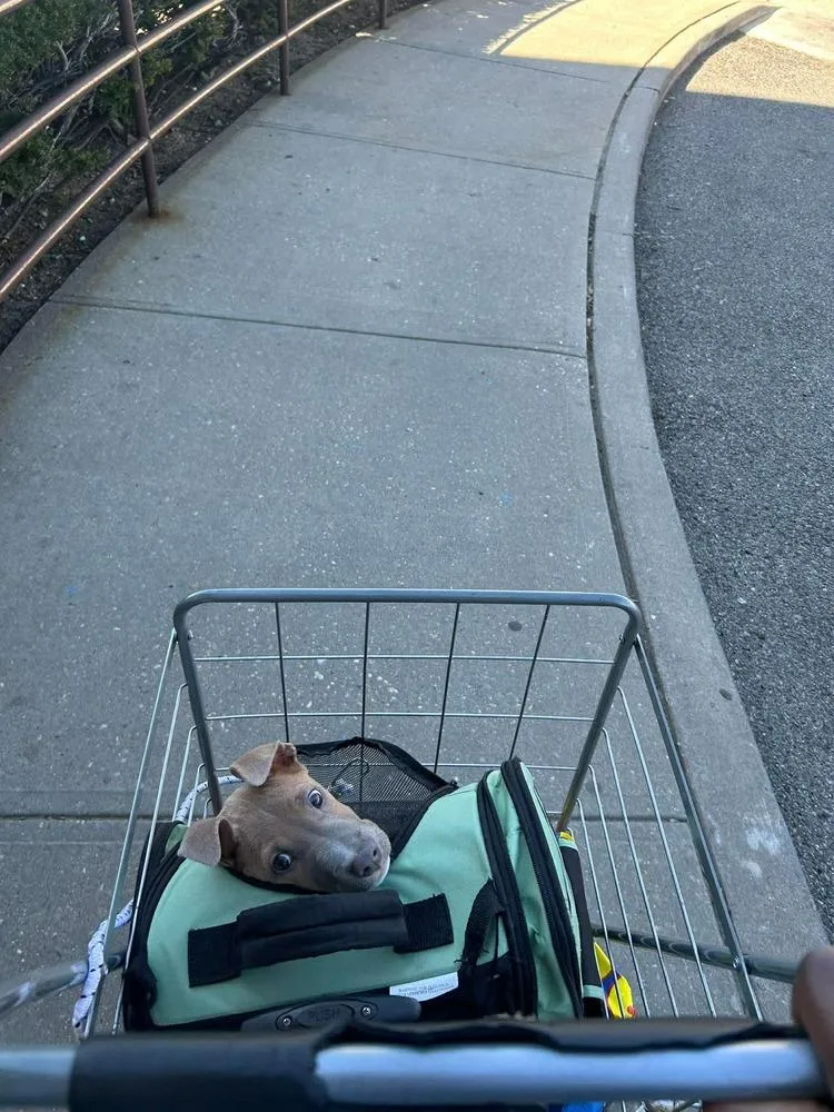 Aquarius thumbnail 2