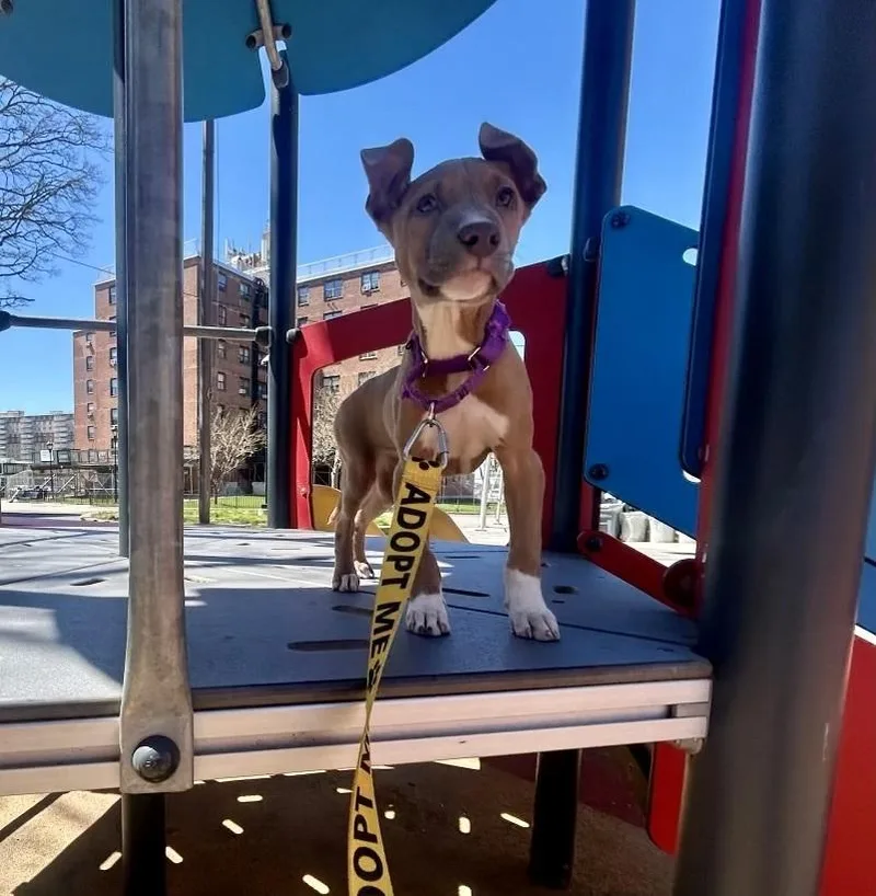 Aquarius thumbnail 3