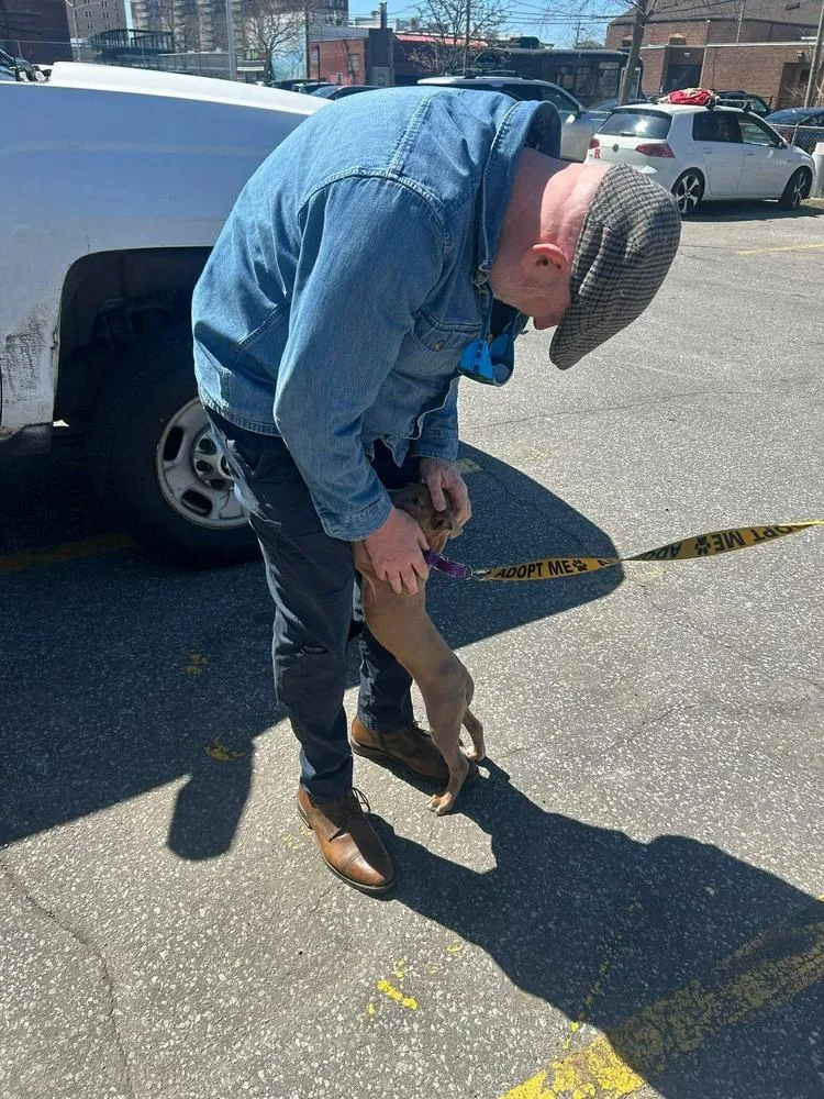 Aquarius thumbnail 5