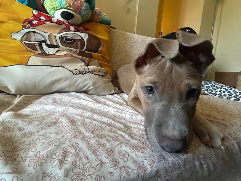 Aquarius thumbnail 6