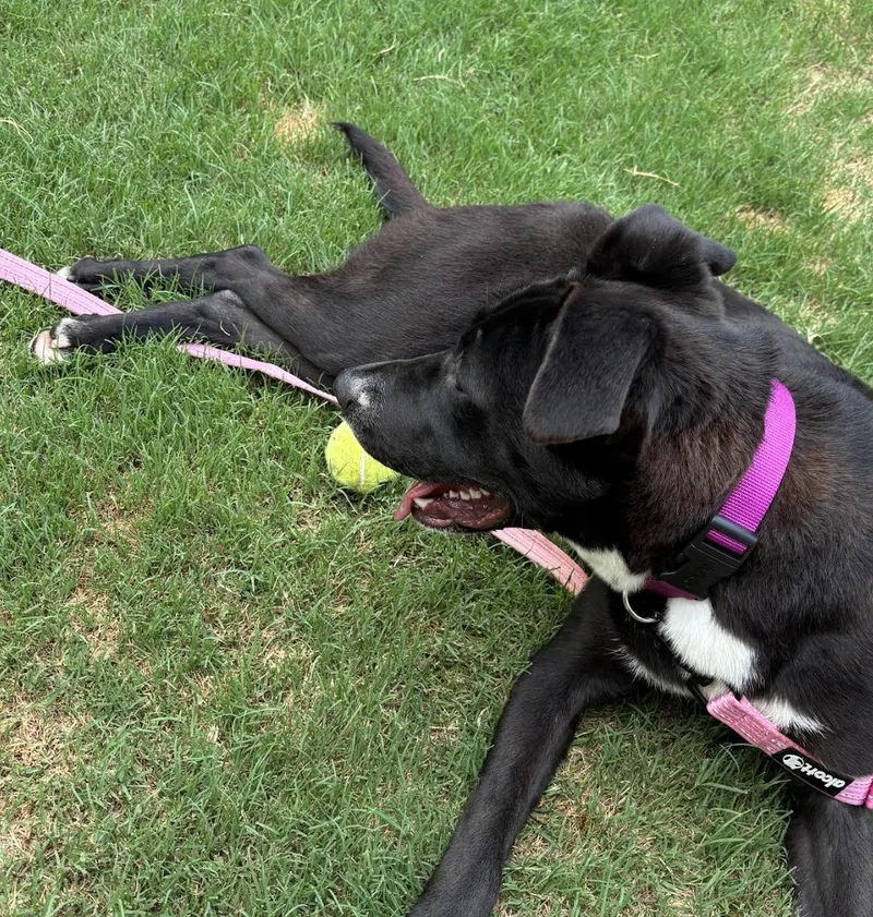 Trudy thumbnail 6