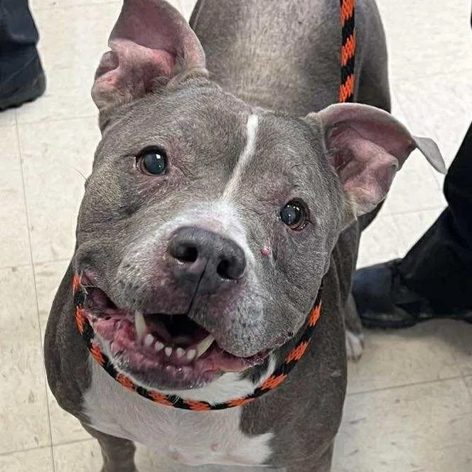 Grayce D thumbnail 6