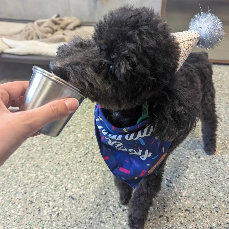 Jax  Home To thumbnail 2