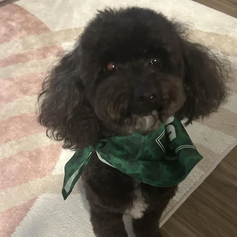 Jax  Home To thumbnail 3