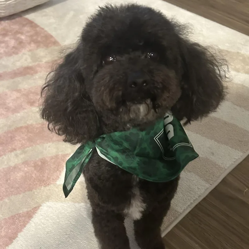 Jax  Home To thumbnail 4