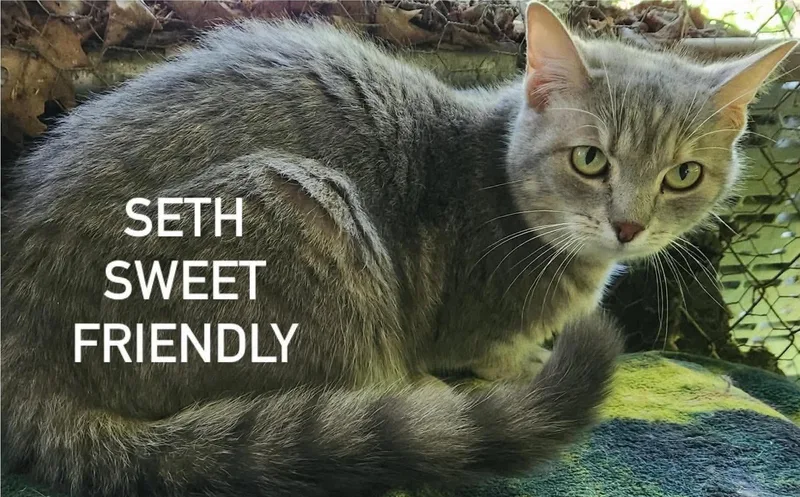 Seth