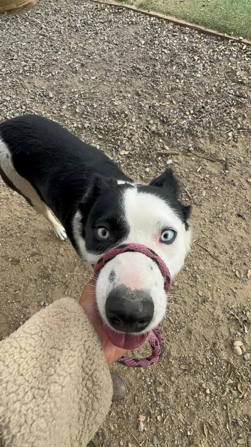 Winnie