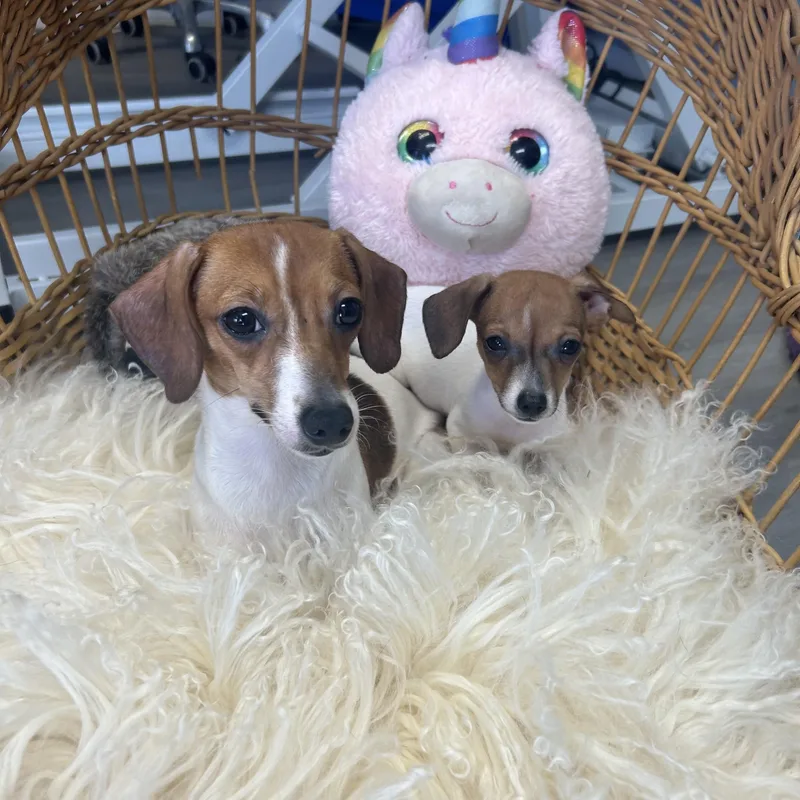 Wren Village thumbnail 2