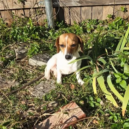 Wren Village thumbnail 3