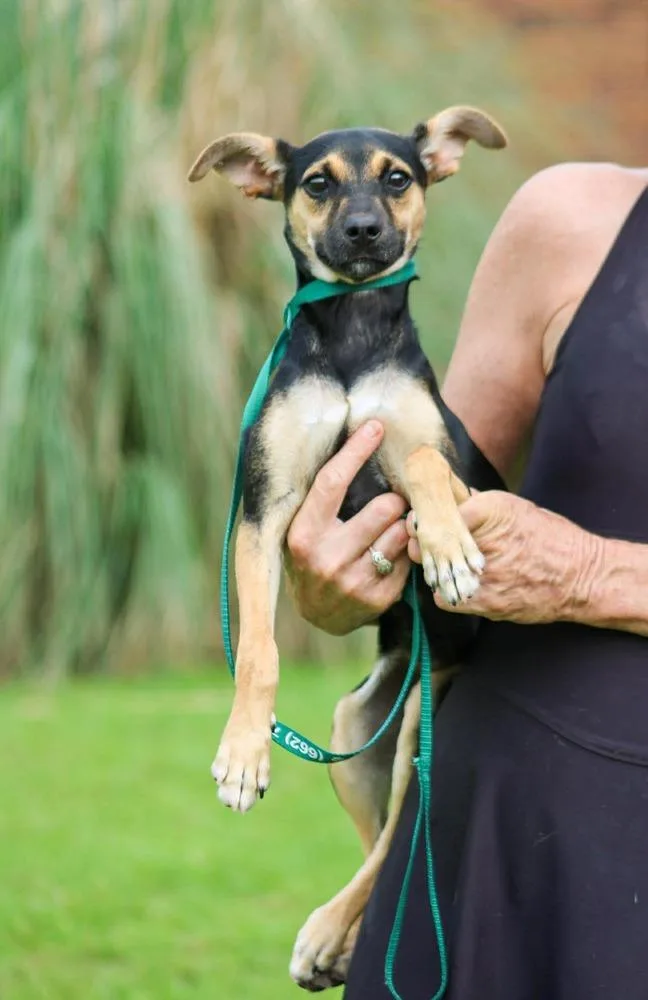 Lyla