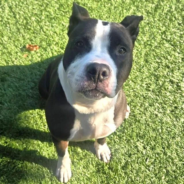 Max