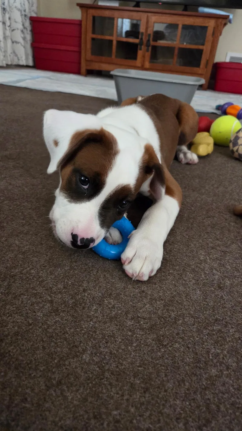 Neptune thumbnail 5