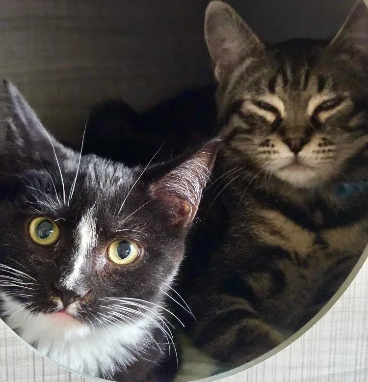 Parker & Dolly thumbnail 5