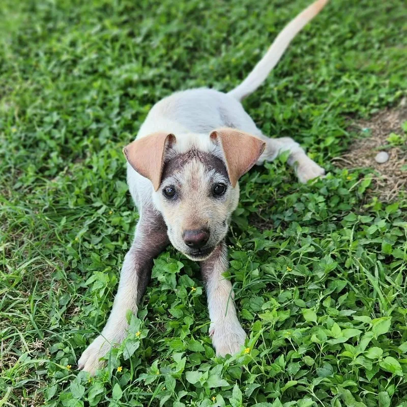 Marv Jum thumbnail 2