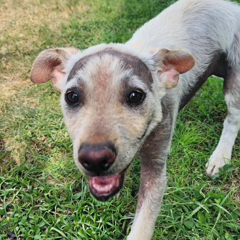 Marv Jum thumbnail 3