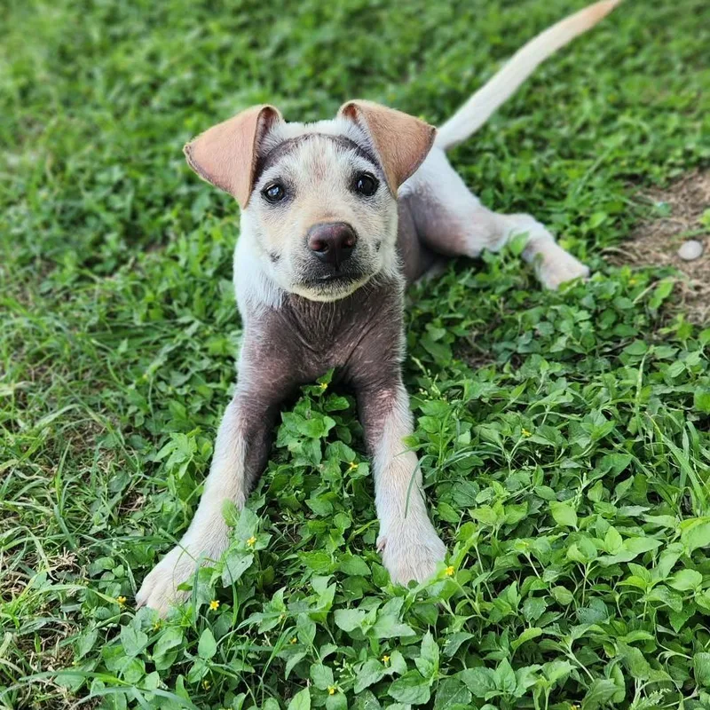 Marv Jum thumbnail 4