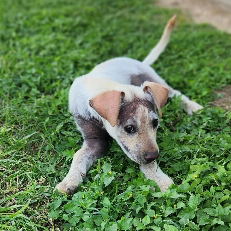 Marv Jum thumbnail 5