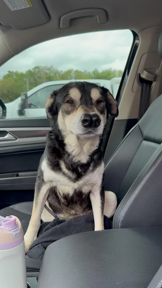 Two Nose thumbnail 2