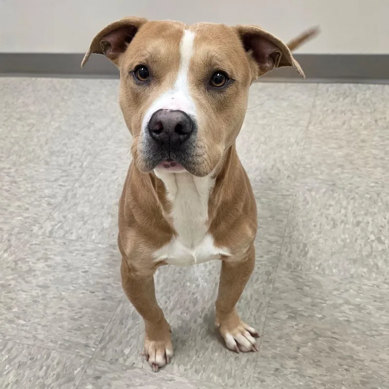 Zirconium thumbnail 2