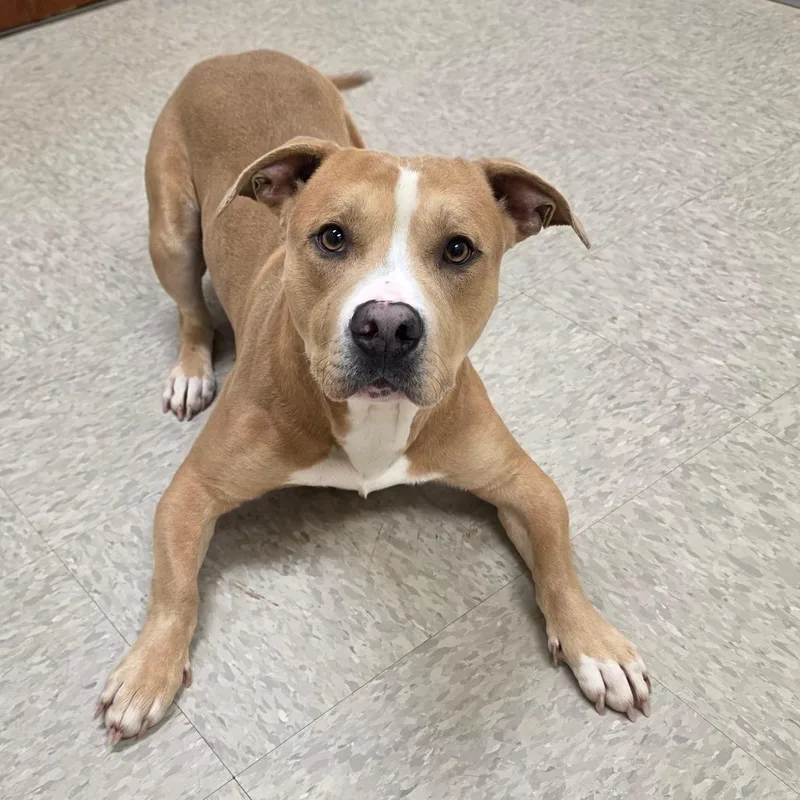 Zirconium thumbnail 3