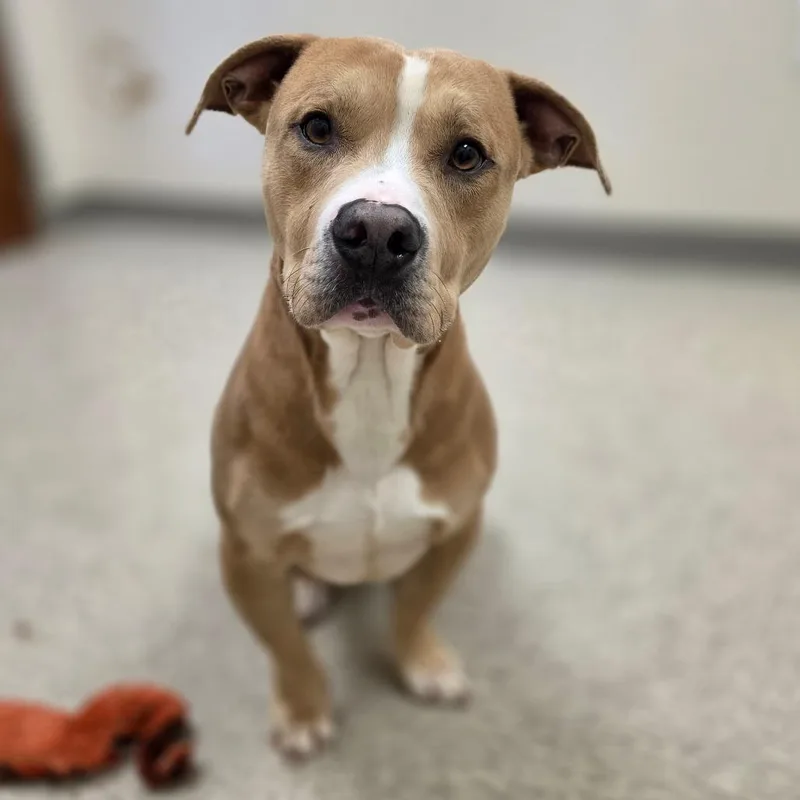 Zirconium thumbnail 4