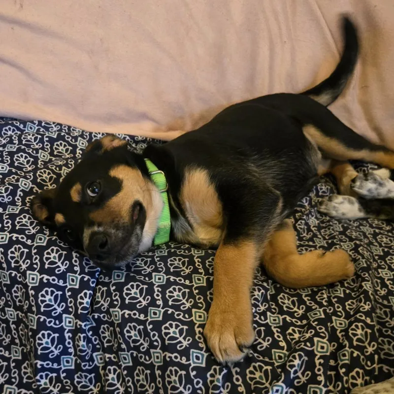 Ruby Jean thumbnail 2