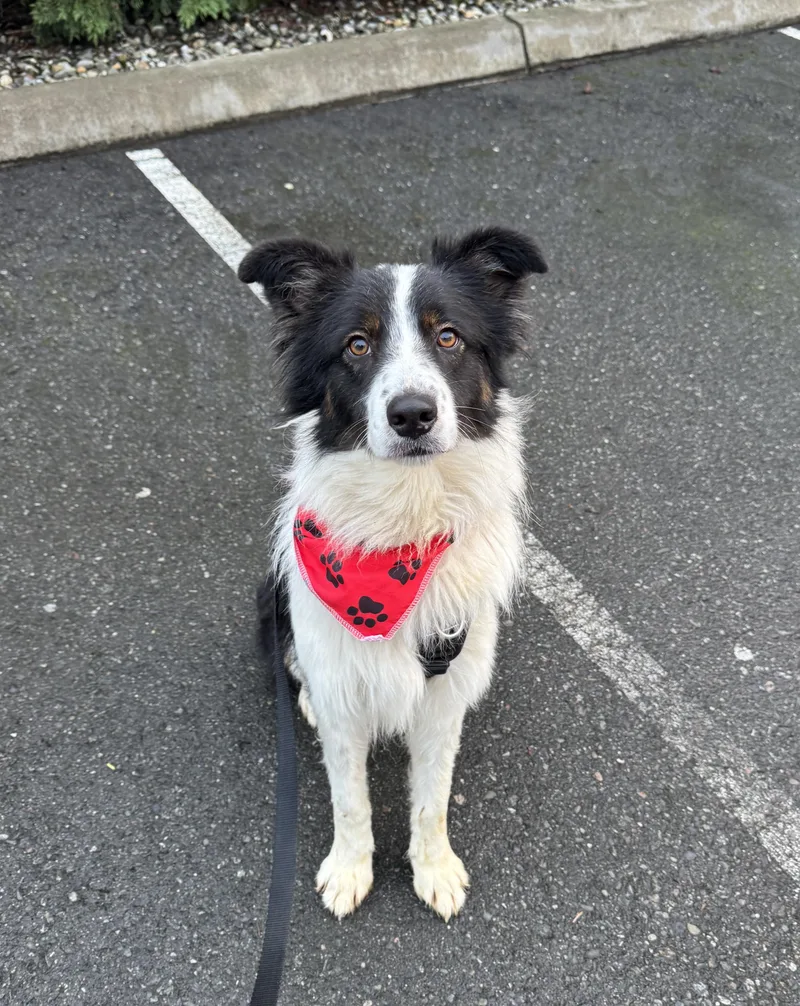 Sundance thumbnail 2